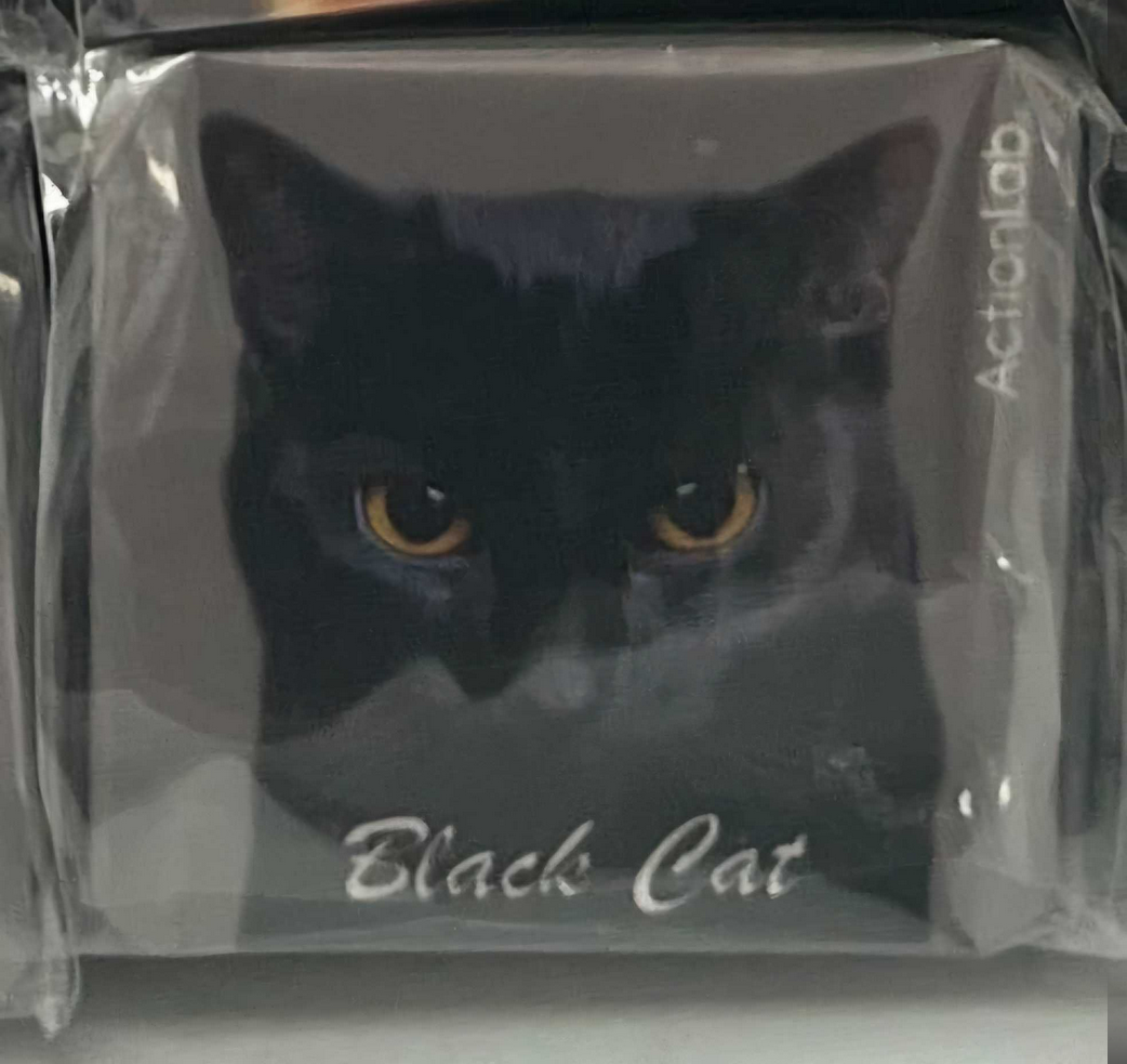 Action Trade Magnet Black Cat